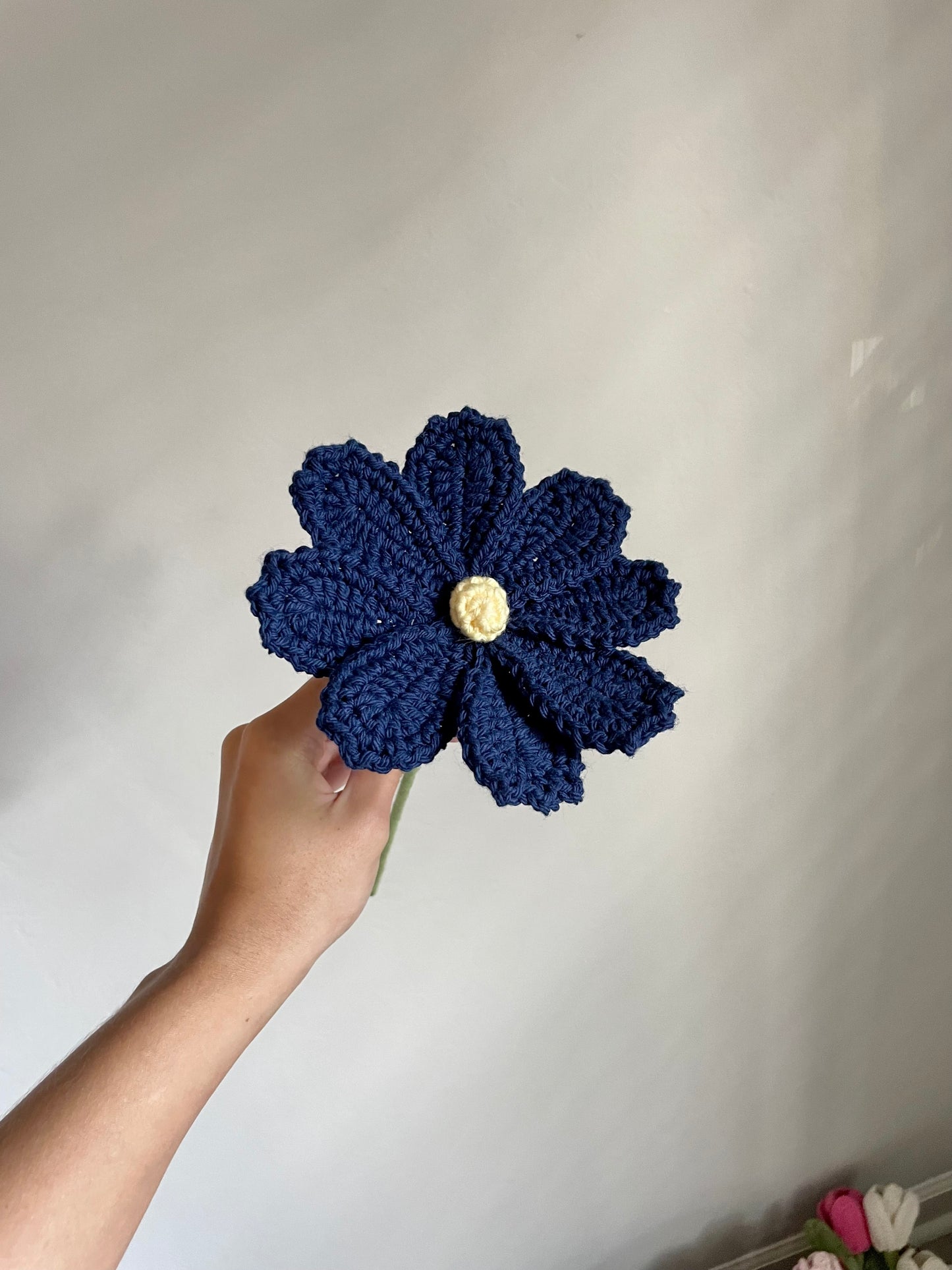 Navy Blue Cosmo