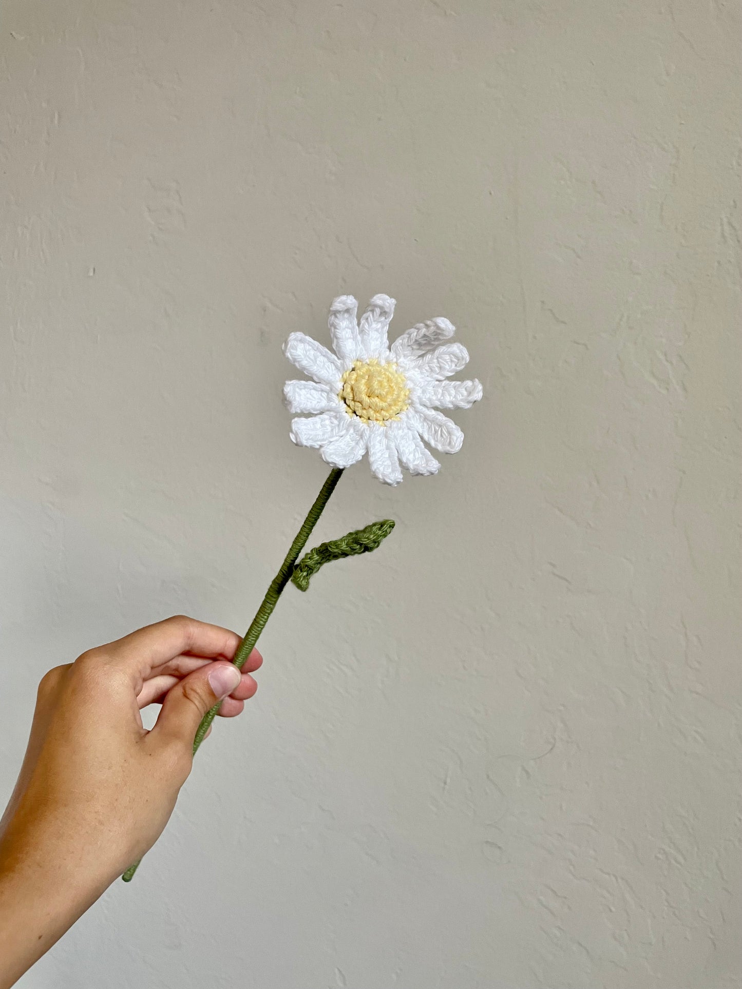 Daisy