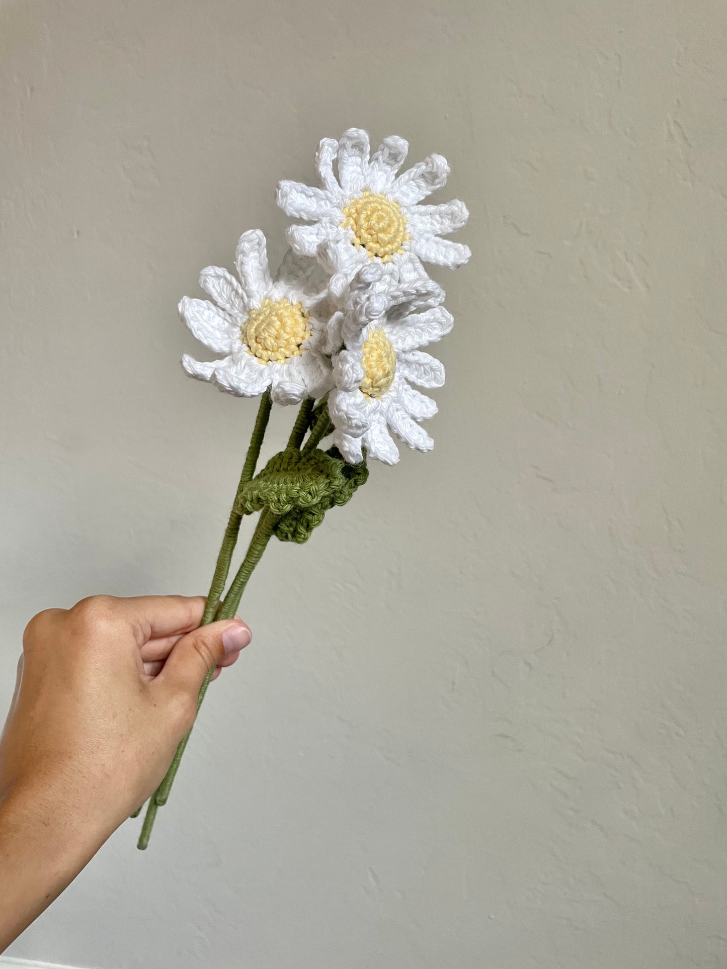 Daisy