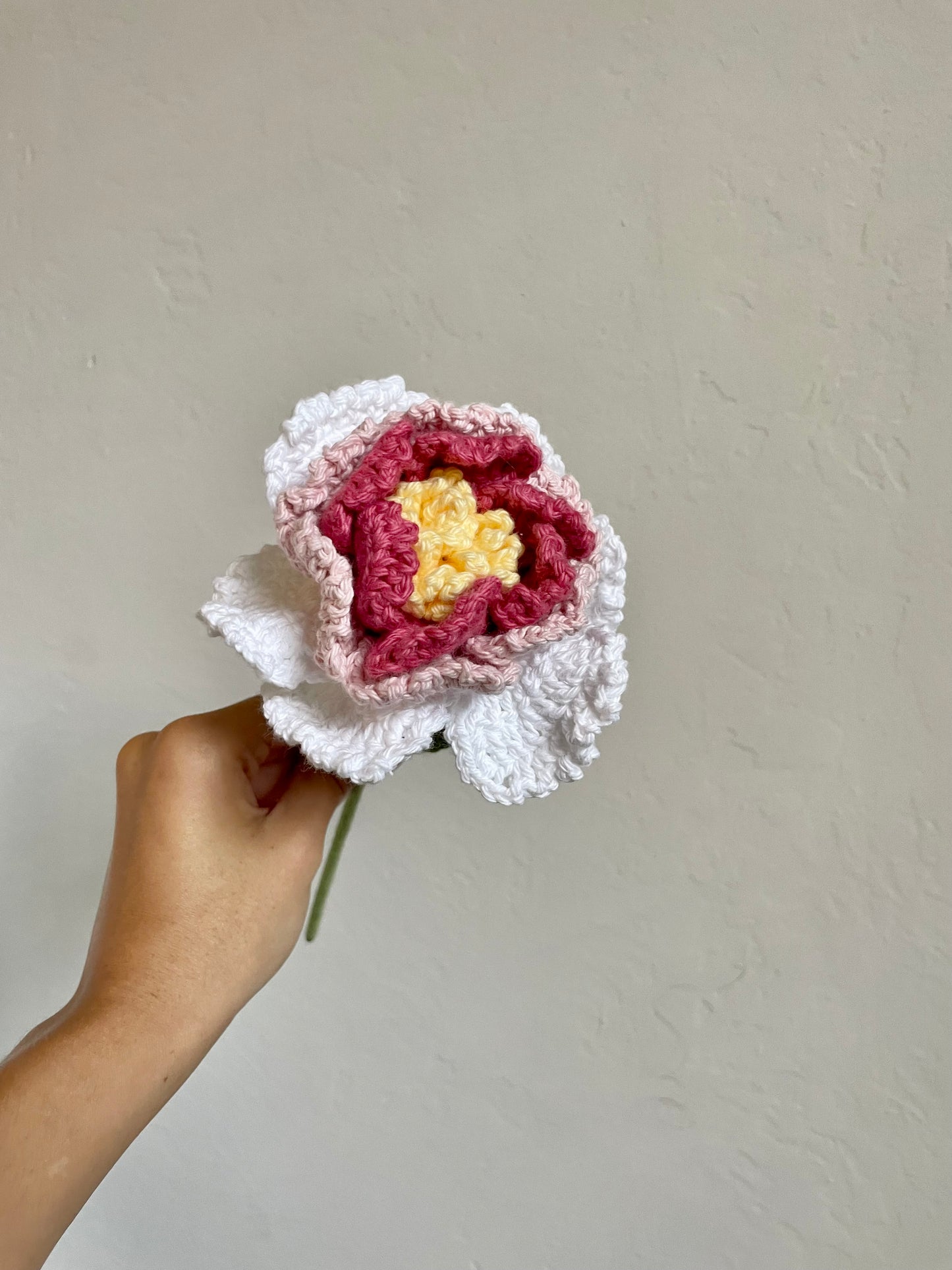 Pink Gradient Peony
