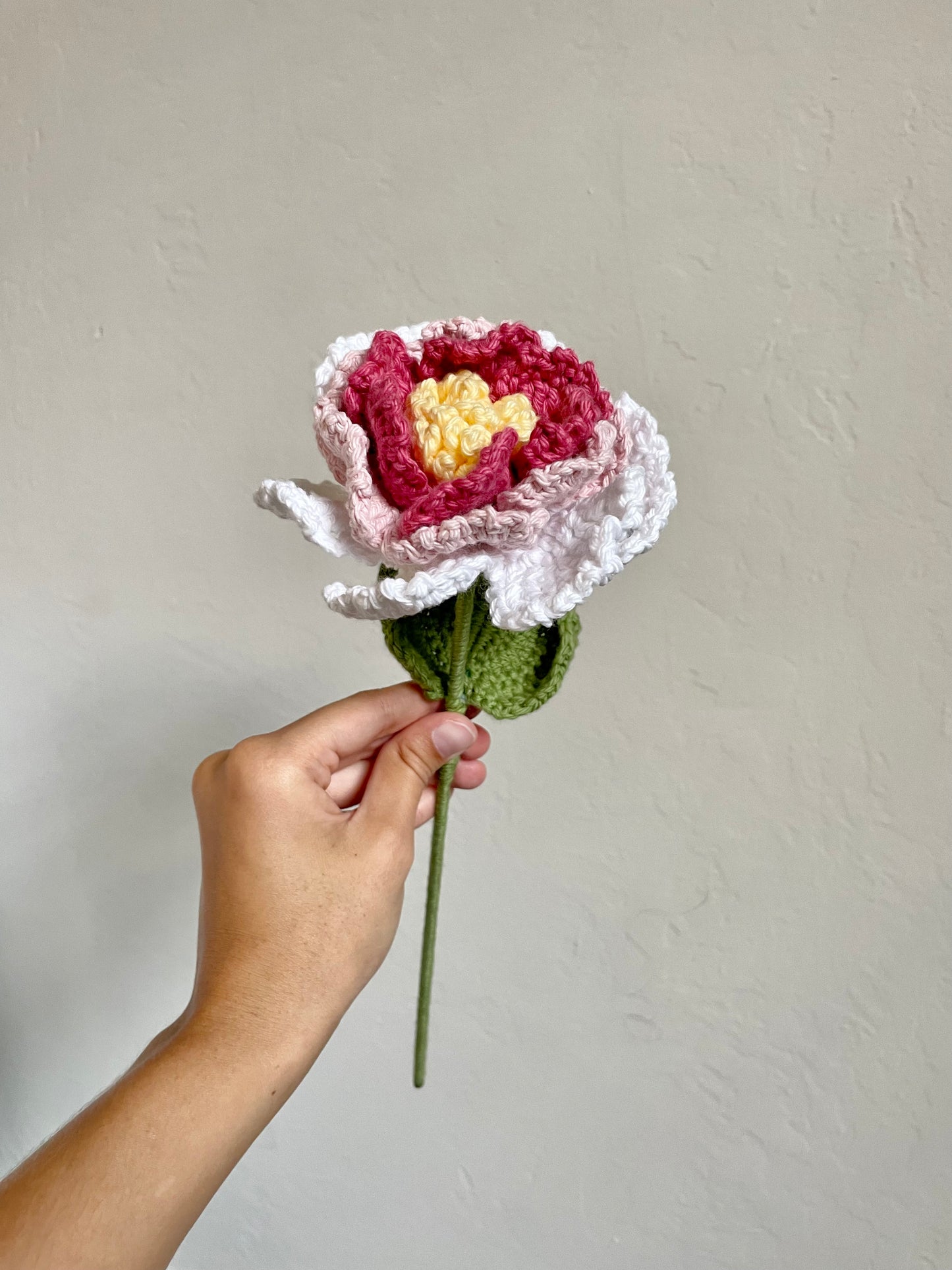 Pink Gradient Peony