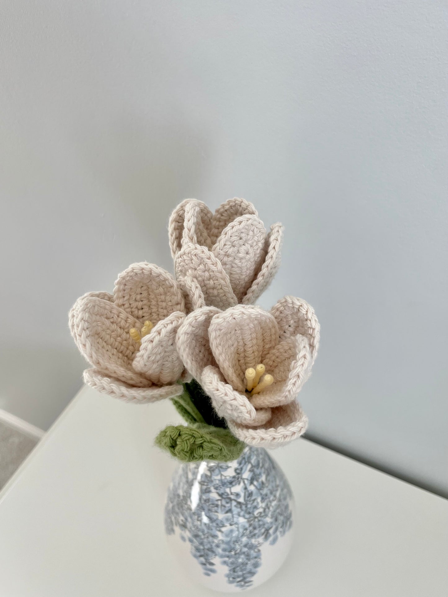 Beige White Tulip