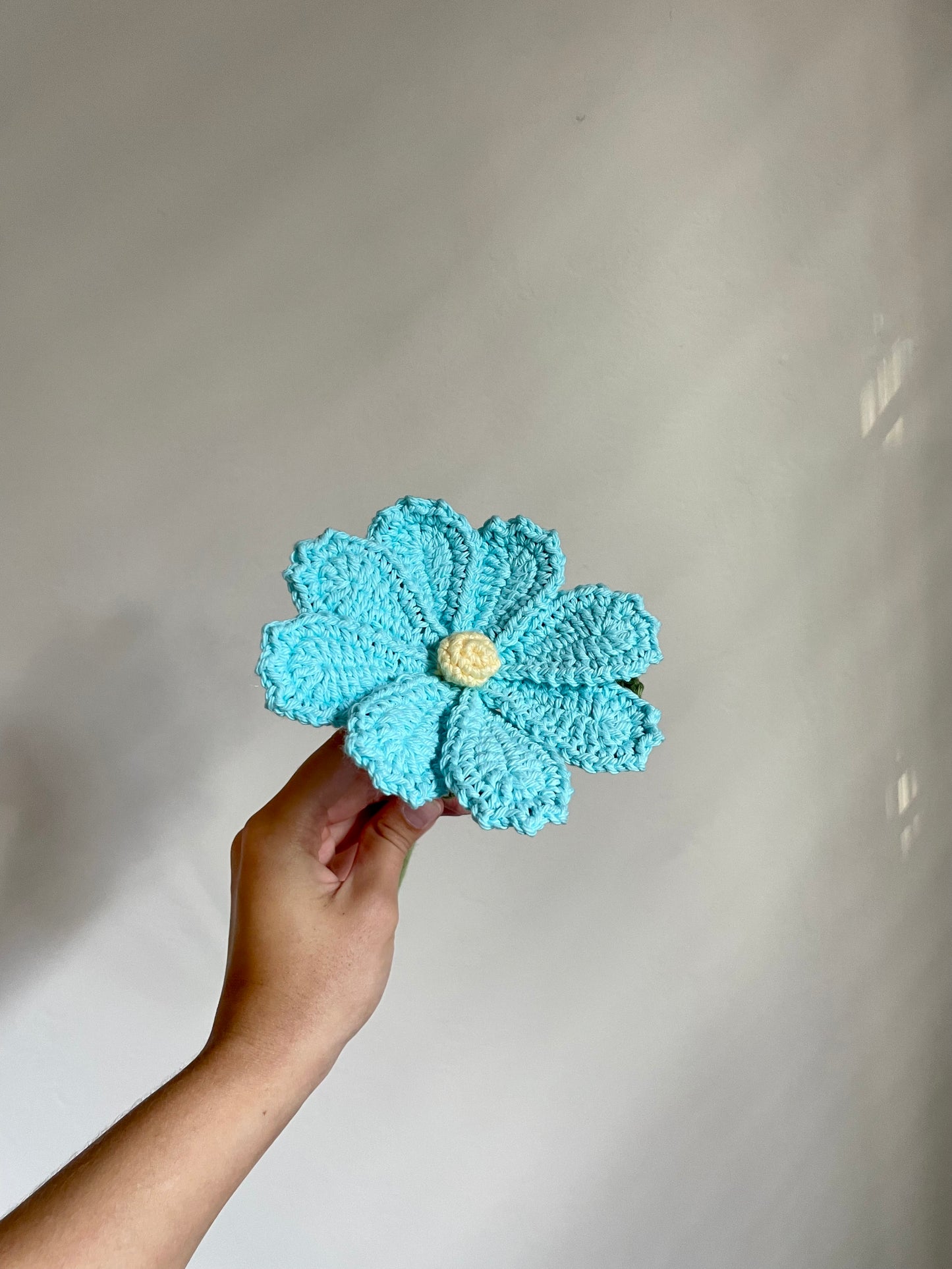 Blight Blue Cosmo