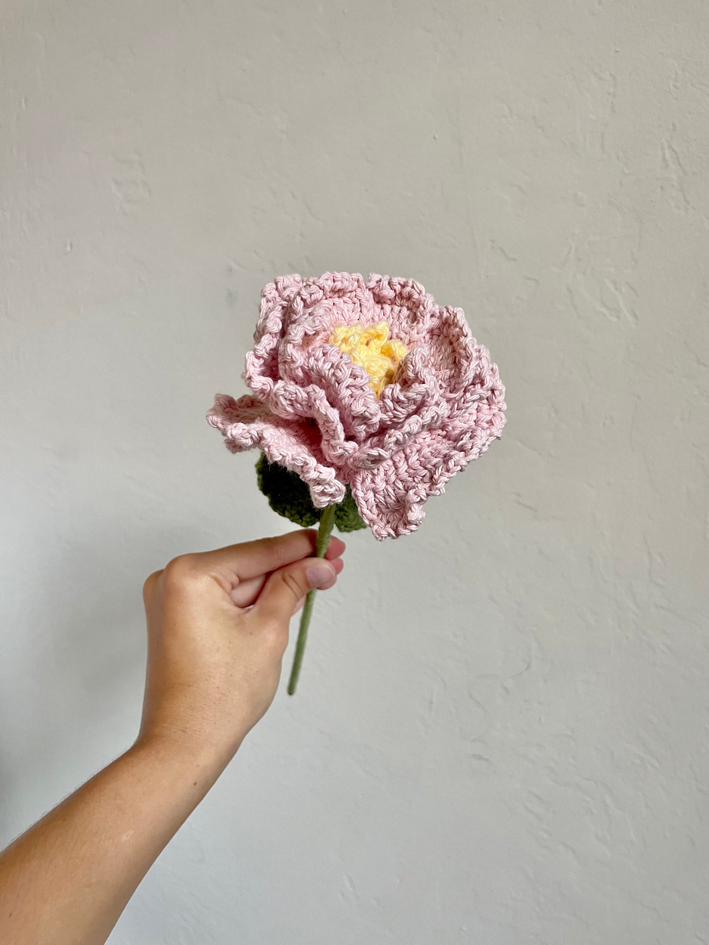 Light Pink Peony