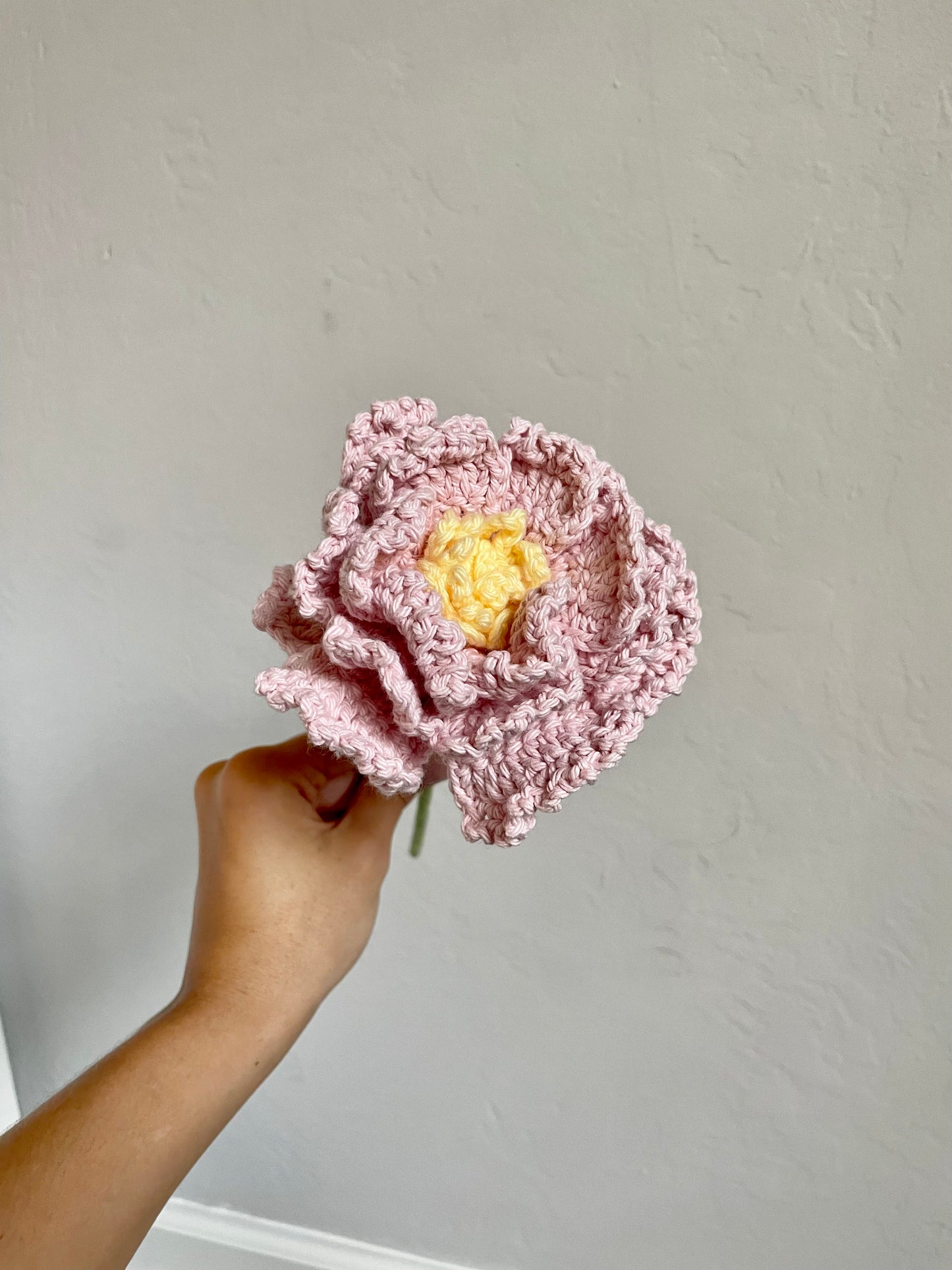 Light Pink Peony
