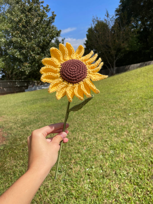 Soroya Sunflower