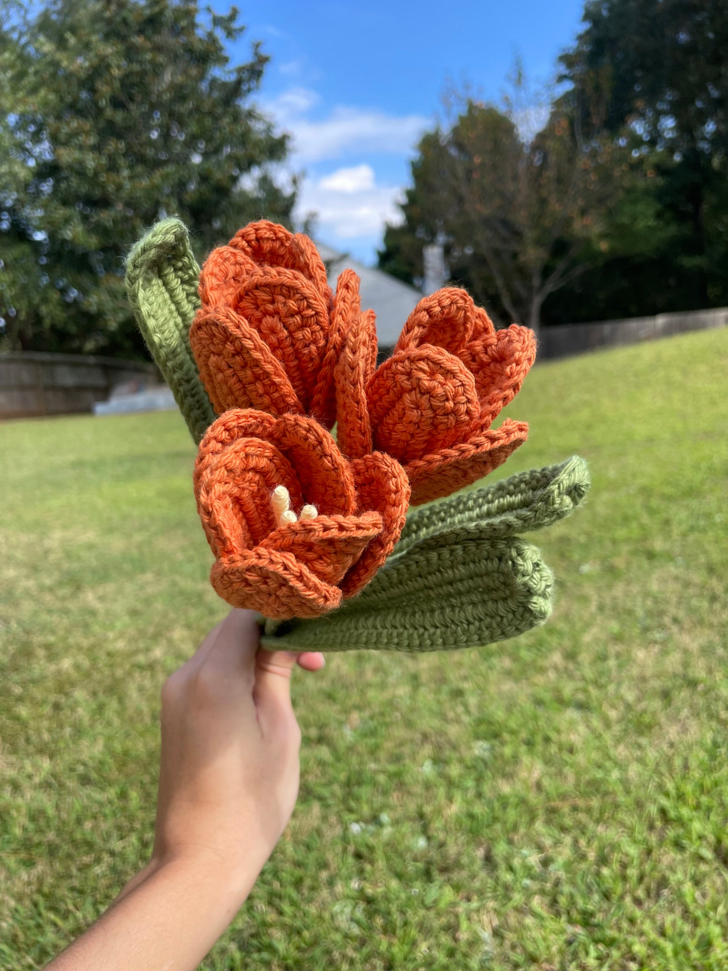Burnt Orange Tulips