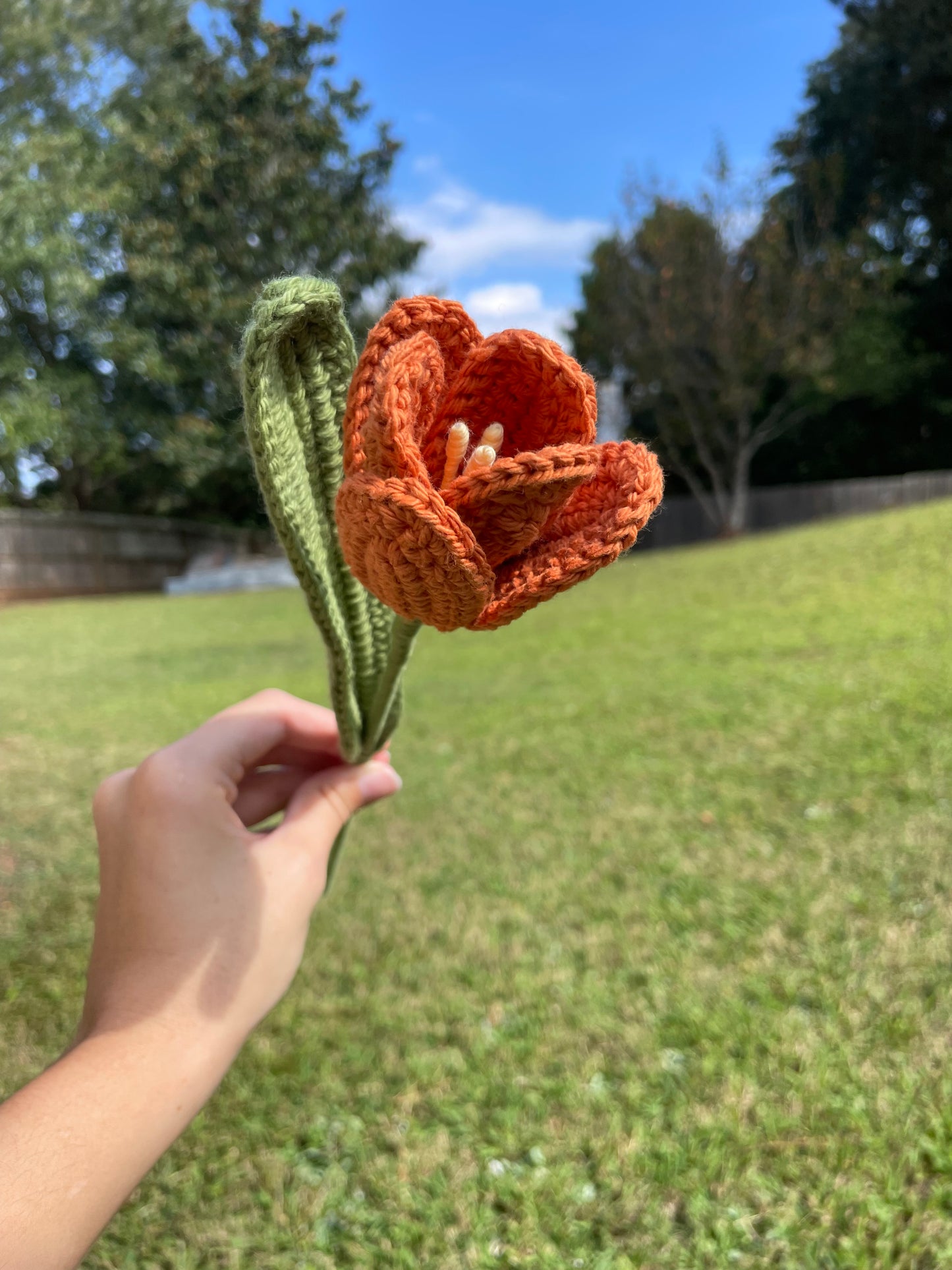 Burnt Orange Tulips