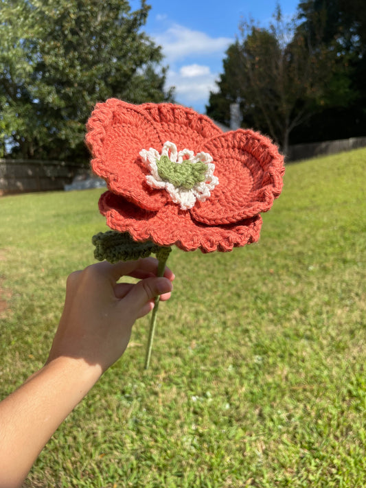 Poppies
